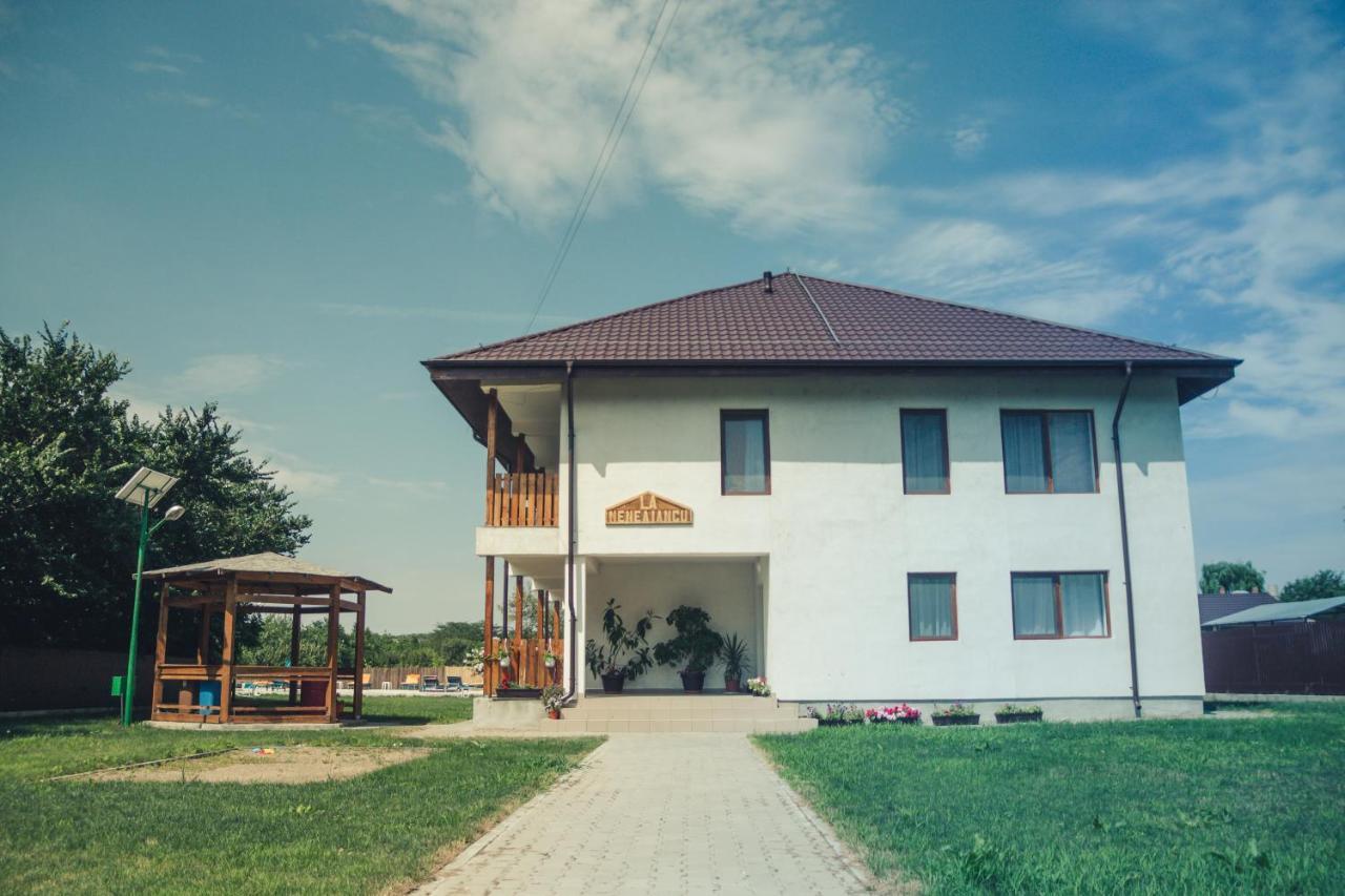 Pensiunea La Nenea Iancu Greci Buitenkant foto