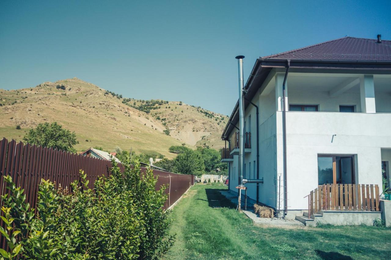 Pensiunea La Nenea Iancu Greci Buitenkant foto