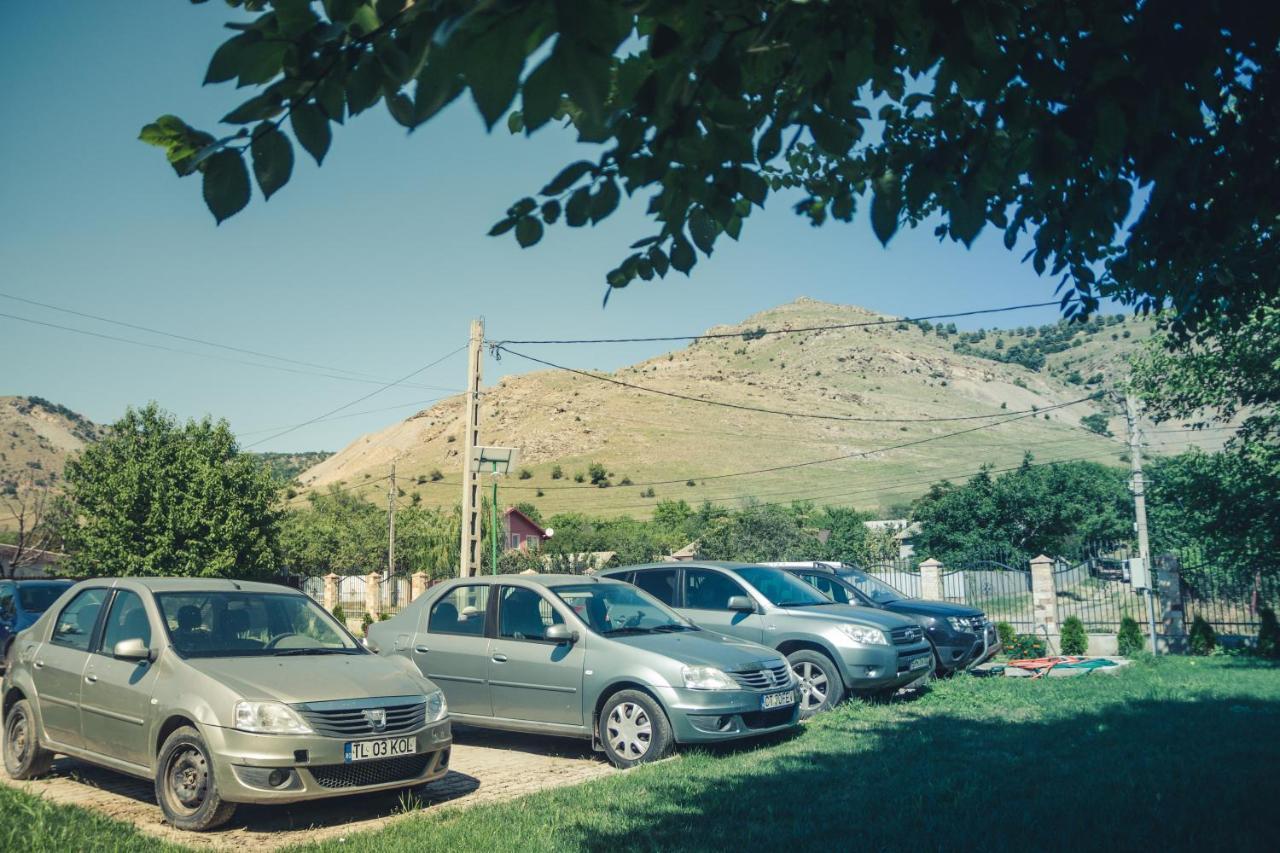 Pensiunea La Nenea Iancu Greci Buitenkant foto